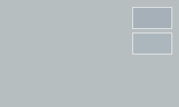 Light Gray (Mitsubishi)