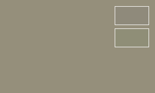 RLM02 Gray