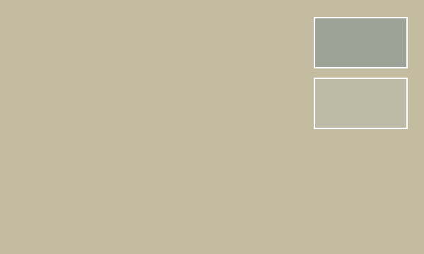 RLM02 Gray