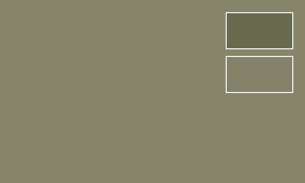Russian Green "4 BO" WWII
