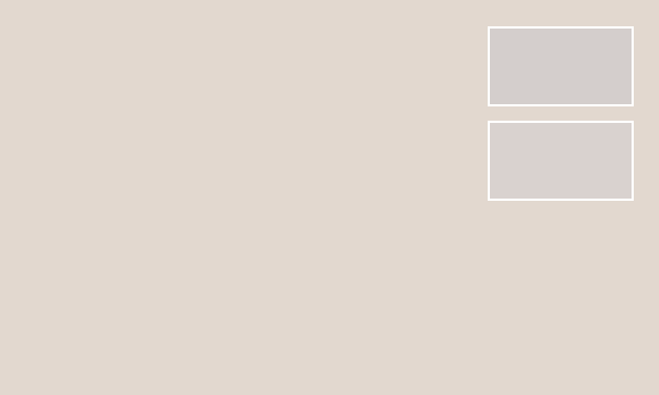 Light Gull Gray