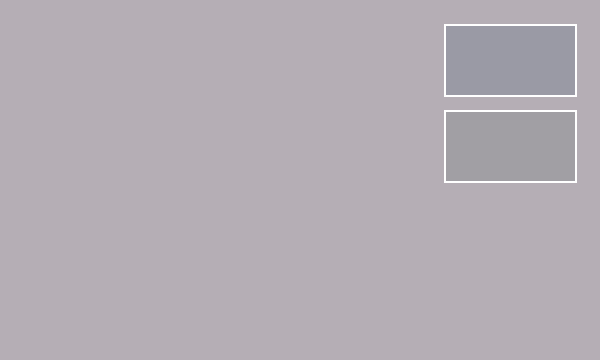 Neutral Gray