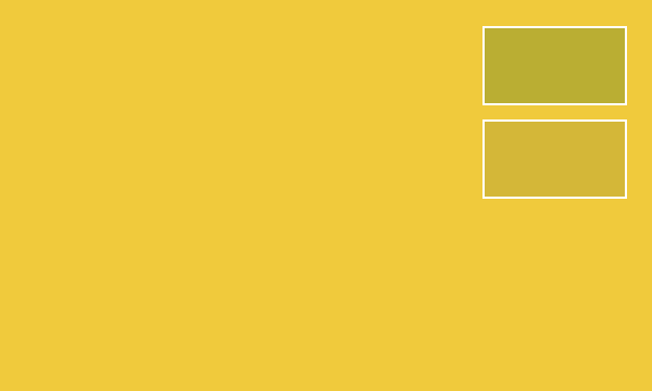 Interior Color